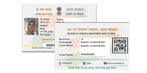 e SHRAM CARD
